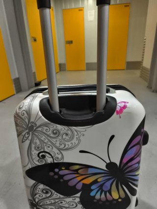 Dos Maletas  de viaje con diseño de mariposas