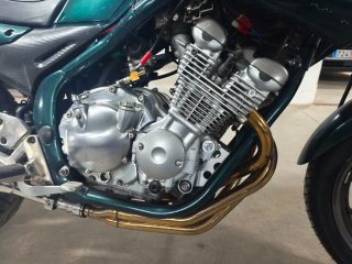Yamaha Moto Verde/Plata Manual