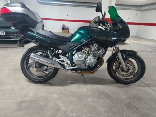 Yamaha Moto Verde/Plata Manual