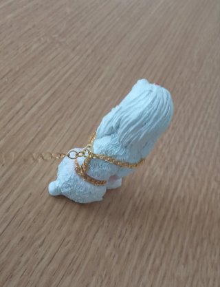 Perrito con doble arnés y cadena para Nancy Otoño