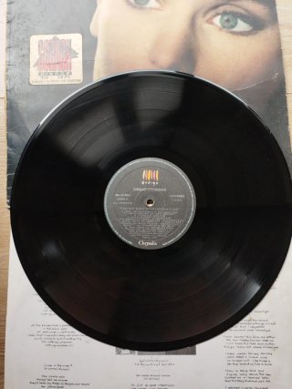 Sinéad O'Connor - I Do Not Want What I Haven'