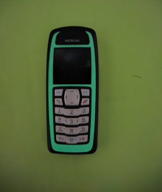 Nokia 3100