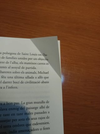 Pellroja, rostre pàl·lid