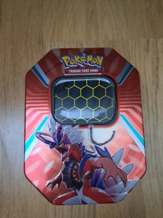 Lote Pokémon TCG: Cartas, dados y accesorios