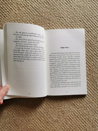 Zortzi ipuin gotiko
