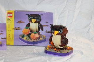 Lego 40497 Civetta di Halloween