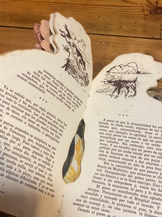 Lote 10 cuentos troquelados animales ARALUCE