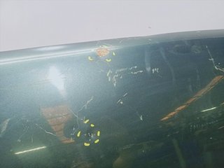 CAPO TOYOTA 4-RUNNER (N13)
