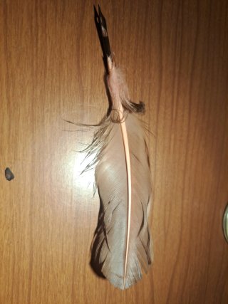 Tintero de cristal con pluma