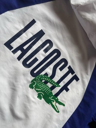 Felpa con cappuccio Lacoste