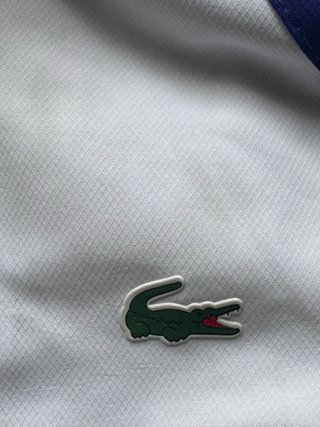 Felpa con cappuccio Lacoste