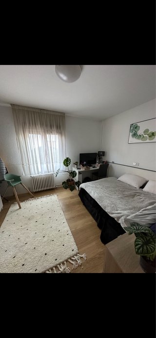 Halquilo habitación a chica responsable