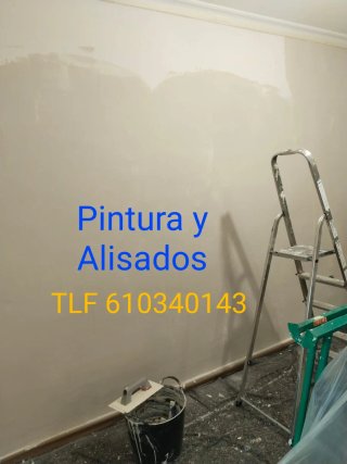 PINTOR PROFESIONAL