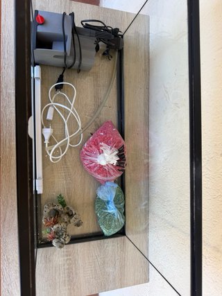 Acuario pecera con accesorios