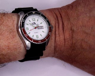 Shark Diver 200mts Pepsi Reloj Cuarzo Deportivo