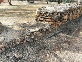 Finca Aldover: Balsa de agua