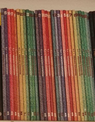 Is de Masakazu Katsura colección completa