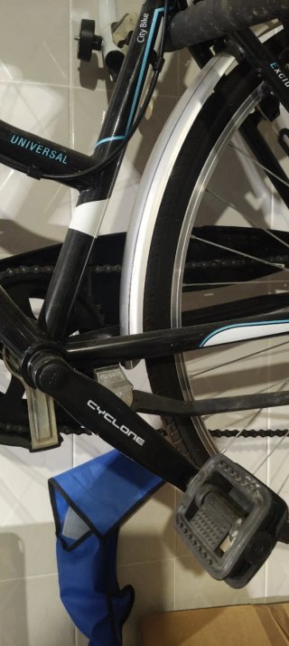 Bicicletta da donna Bikevolution