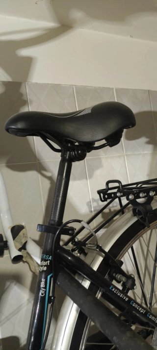 Bicicletta da donna Bikevolution