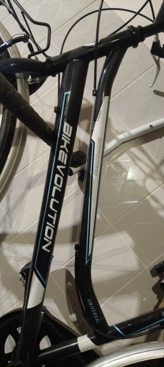 Bicicletta da donna Bikevolution