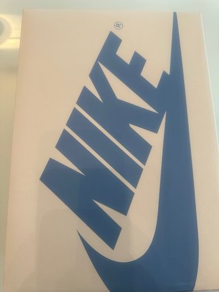 Zapatillas Nike Air Jordan Skyline Low Talla 43