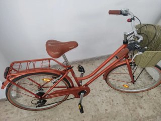 Bicicleta Paseo 26 Adulto color cobre
