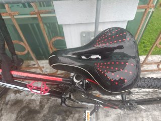 Bicicletta Schiano MTB