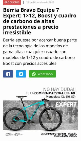 Bicicleta Berria 29 Carbono