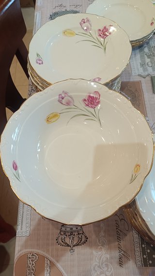 Vajilla Royal China Vigo Tulipanes Porcelana