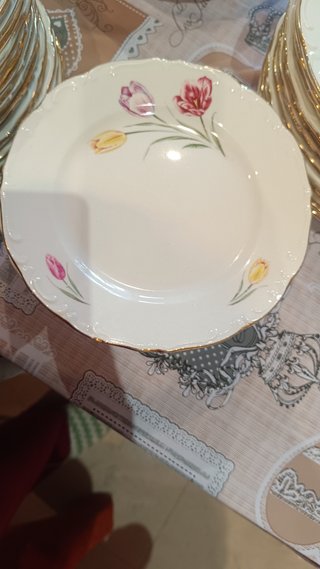 Vajilla Royal China Vigo Tulipanes Porcelana