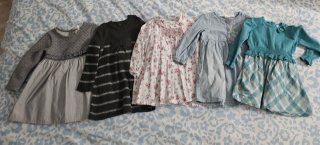 Lote 5 vestidos 18 meses