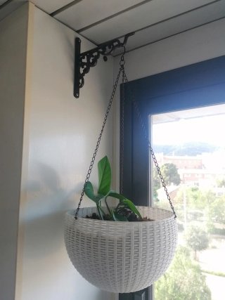 Maceta colgante + colgador metálico