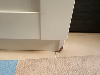 Armario Pax Ikea Blanco