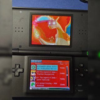 ⚡ Nintendo DS Lite Negra + Pack Multijuegos