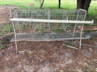 Jaula 4 gallinas con bebedero