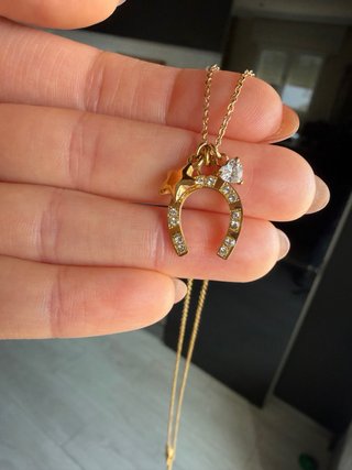 Collar herradura acero inoxidable