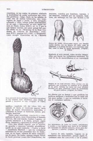PLANTAS MEDICINALES. El Dioscòrides renovado