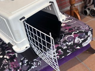 Transportín grande gato/perro pequeño