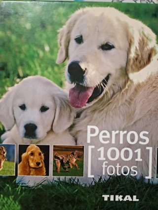 Perros (Spanish Edition)