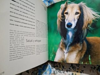 Perros (Spanish Edition)