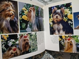 Perros (Spanish Edition)