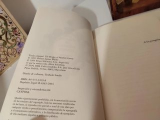 Libro puentes