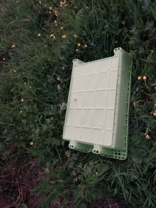 Cajas de plástico verdes para pescado