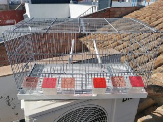 Jaula de cría para pájaros o cambio