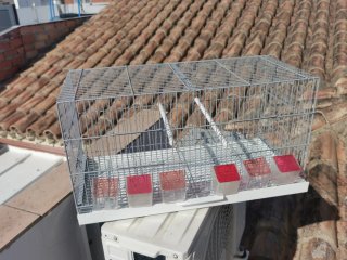 Jaula de cría para pájaros o cambio