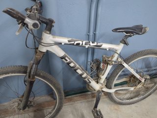 Bicicleta de montaña Focus