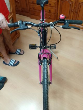 Bicicleta niña 24 pulgadas