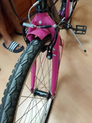Bicicleta niña 24 pulgadas