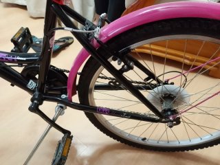 Bicicleta niña 24 pulgadas