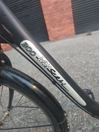 Bicicleta Eléctrica Waycras